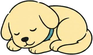 小狗安静地趴下休息